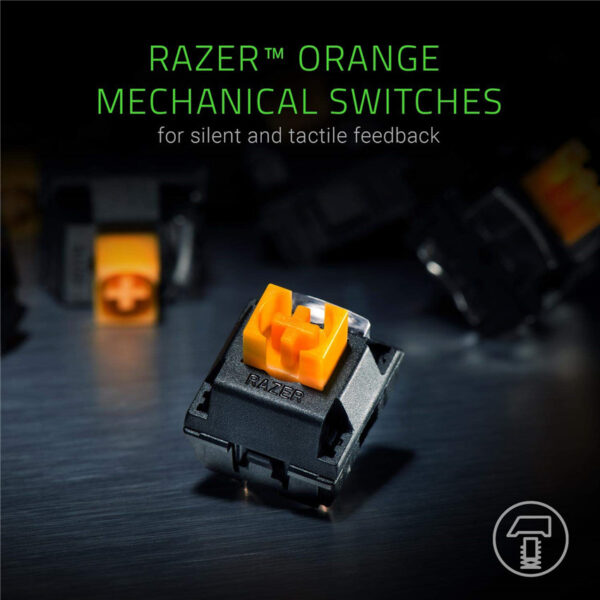 Razer BlackWidow Lite TKL Tenkeyless Mechanical Keyboard : Orange Key Switches - Tactile & Silent - White Individual Key Lighting - Compact Design - Detachable Cable