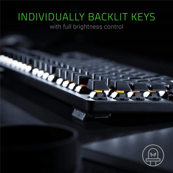 Razer BlackWidow Lite TKL Tenkeyless Mechanical Keyboard : Orange Key Switches - Tactile & Silent - White Individual Key Lighting - Compact Design - Detachable Cable