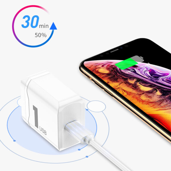 ROCK T12 Single Port PD Travel Charger/Type C to Lightning Cable (CCC)