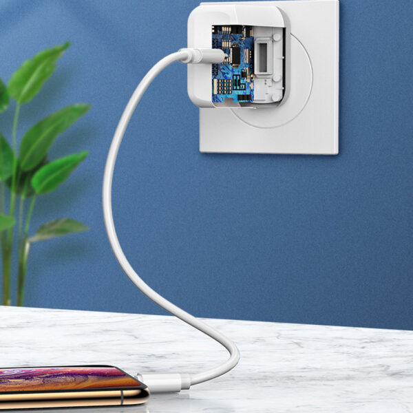 ROCK T12 Single Port PD Travel Charger/Type C to Lightning Cable (CCC)